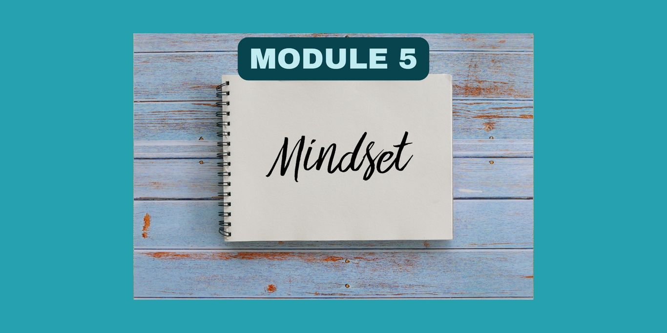 Notebook - Module 5 - Mindset